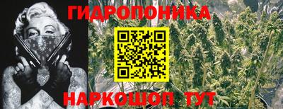mix Обь