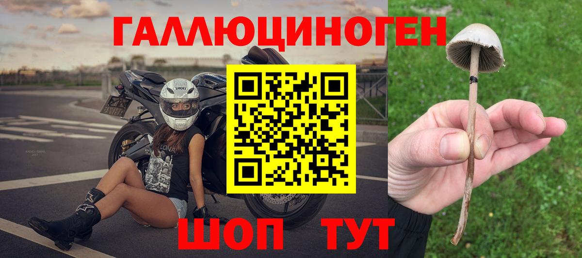 Псилоцибиновые грибы ЛСД Саранск