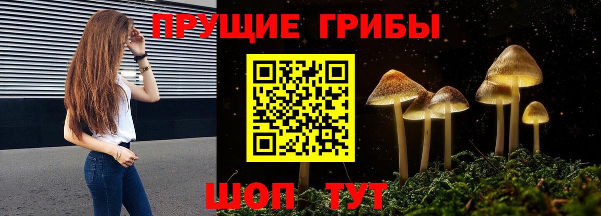 Псилоцибиновые грибы MAGIC MUSHROOMS  Вход с VPN  купить закладку  Саранск 